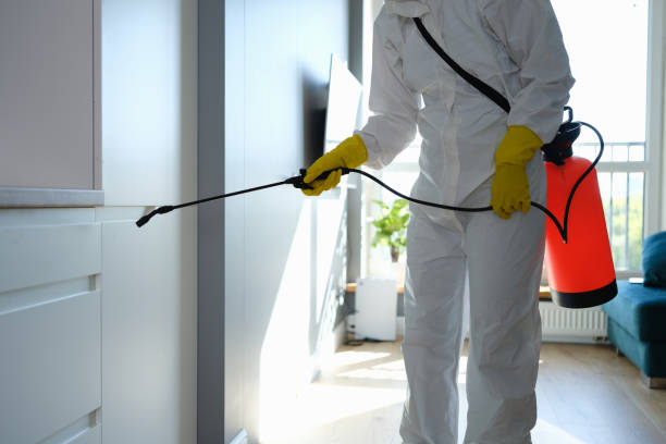 Best Commercial Mold Remediation in North Bend, WA